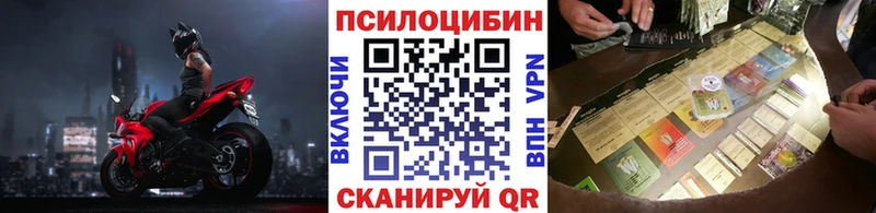 Псилоцибиновые грибы MAGIC MUSHROOMS  закладки  гидра как зайти  Ряжск 